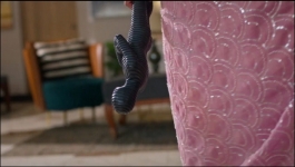 Vasudha - 23rd July 2025